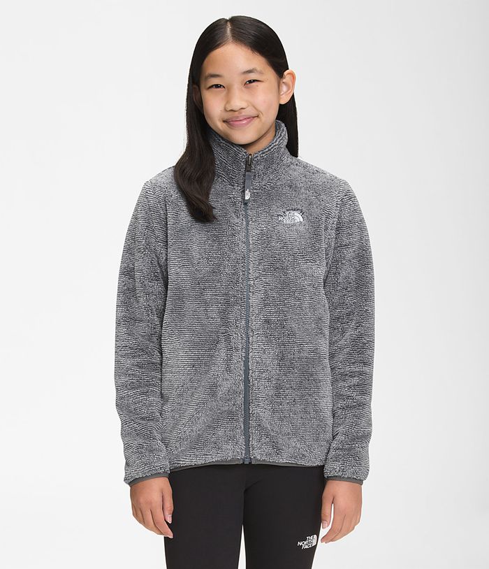 Chaqueta The North Face Niña Suave Oso Fleece - Colombia AFDHZT698 - Gris